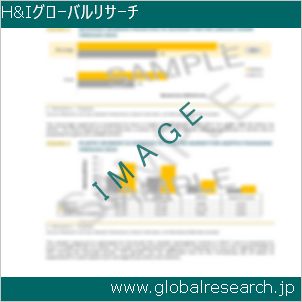 グローバルリサーチ調査レポートのイメージ